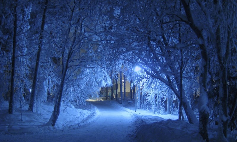 Magical Walkways